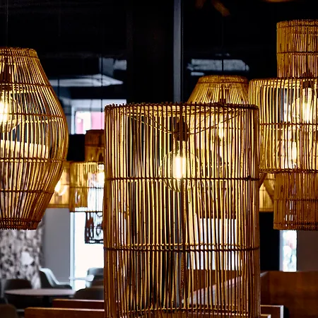 Delfín Tossa de Mar