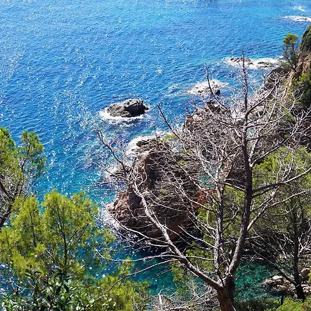 Delfín Hotel Tossa de Mar