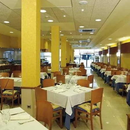 Delfín Tossa de Mar